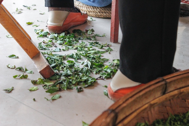 Melatih Kesabaran Melawan Siput